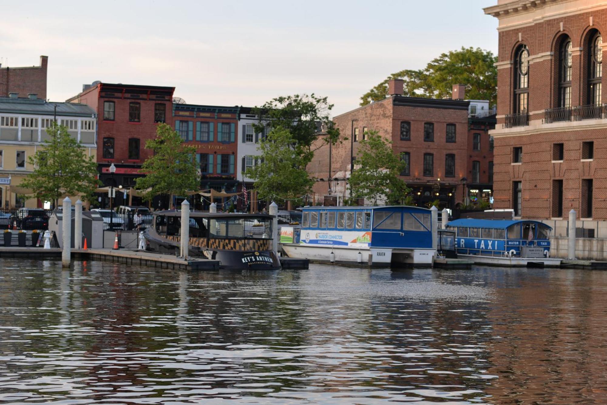 Pristine Townhouse With Rooftop Deck Near Canton! Baltimore Exterior foto